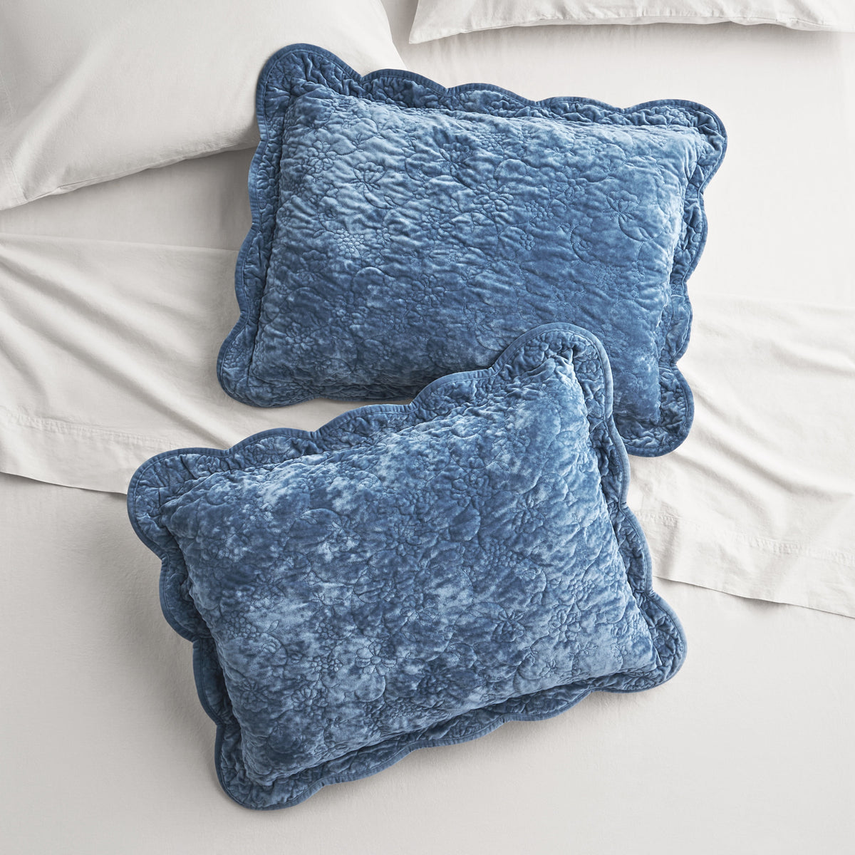 The Pioneer Woman Agatha Floral Gauze Pillow Sham, Standard, Blue Dust, 2 Pack - Cozy Cottage