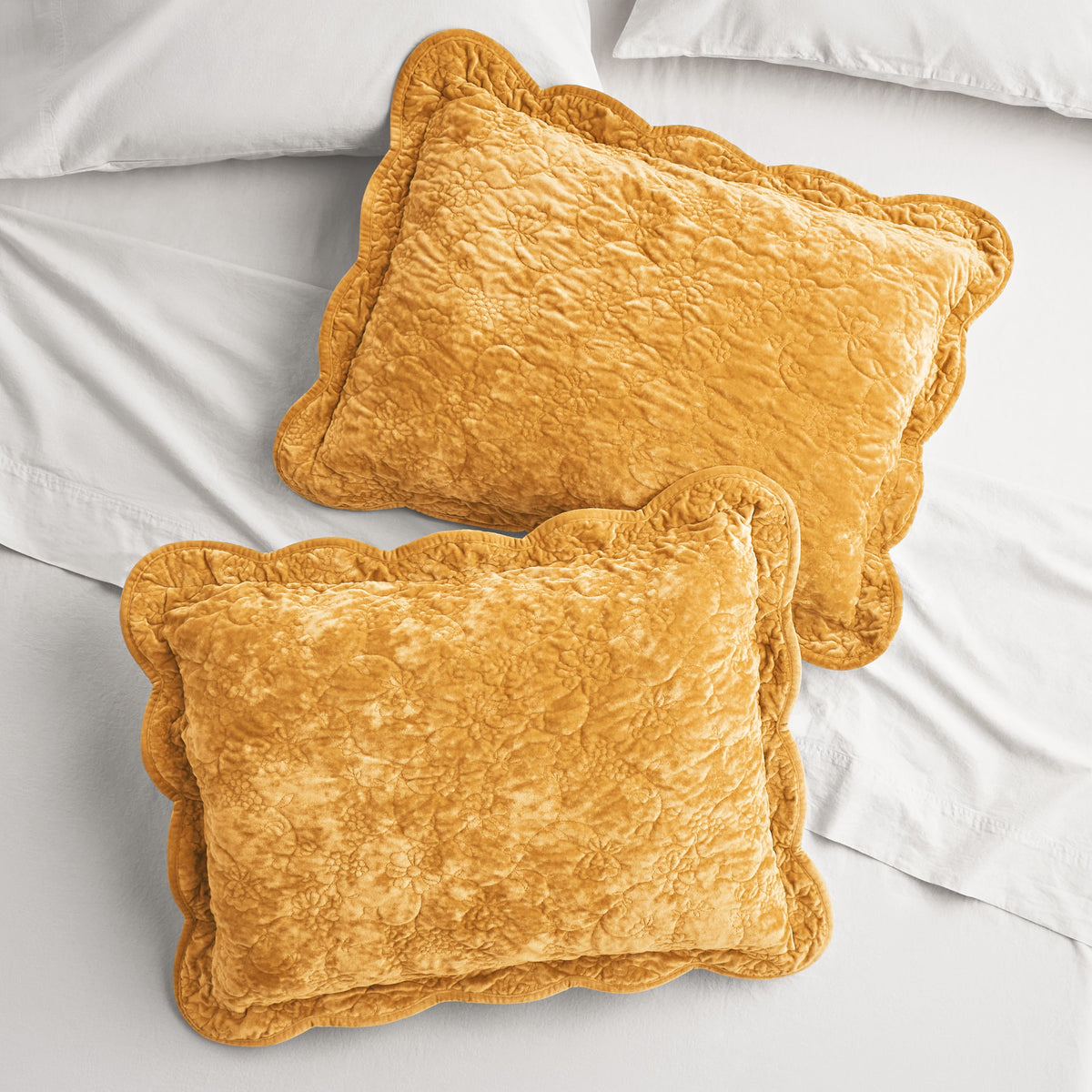The Pioneer Woman Agatha Floral Gauze Pillow Sham, Standard, Blue Dust, 2 Pack - Cozy Cottage
